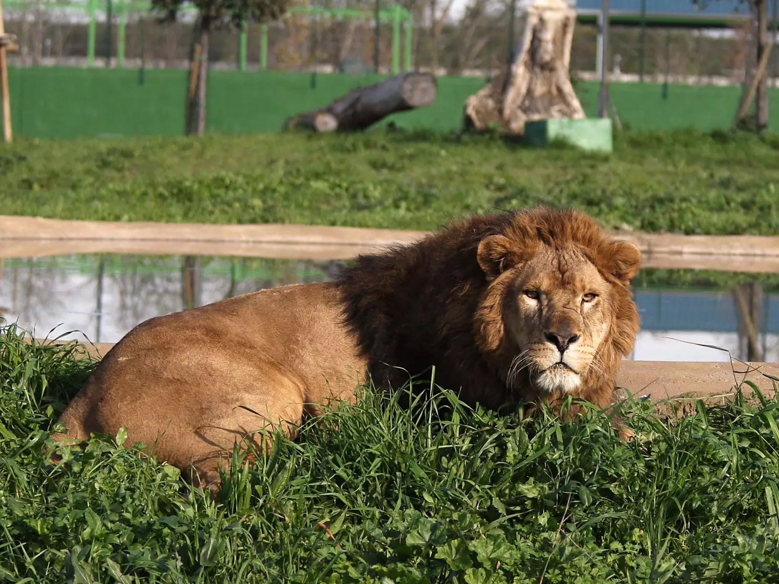 Safari Ravenna lakói